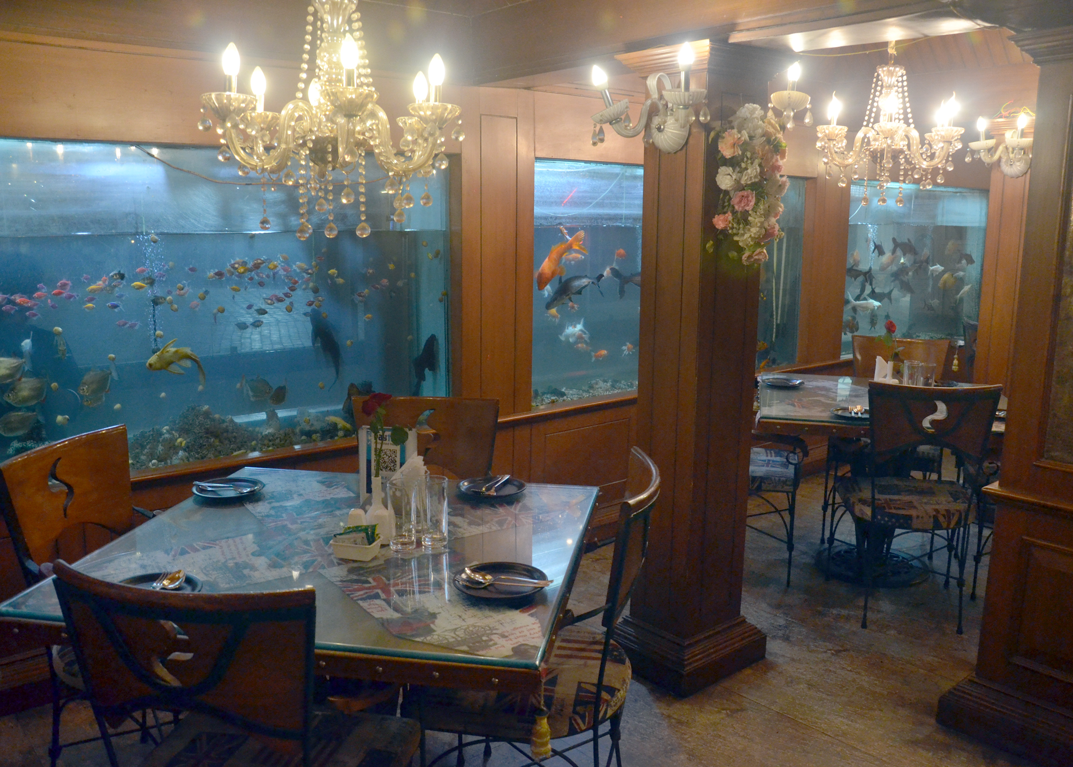 Golden Spoon dining view 14